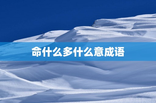 命什么多什么意成语