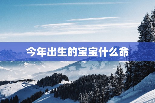 今年出生的宝宝什么命