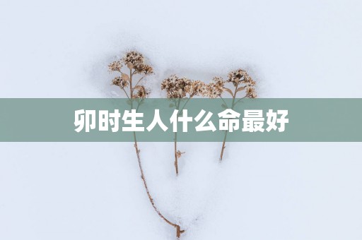 卯时生人什么命最好