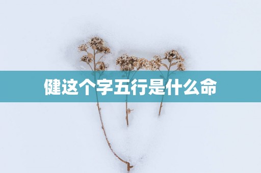 健这个字五行是什么命
