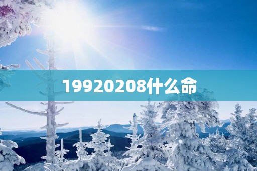 19920258什么命