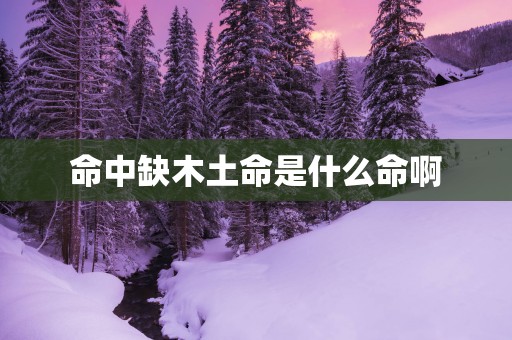 命中缺木土命是什么命啊