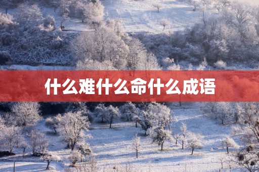 什么难什么命什么成语