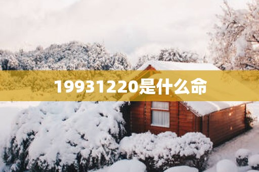 19931220是什么命