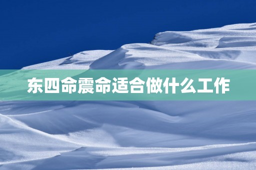 东四命震命适合做什么工作