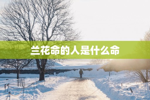 兰花命的人是什么命