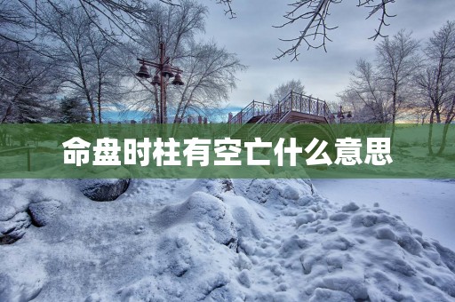命盘时柱有空亡什么意思