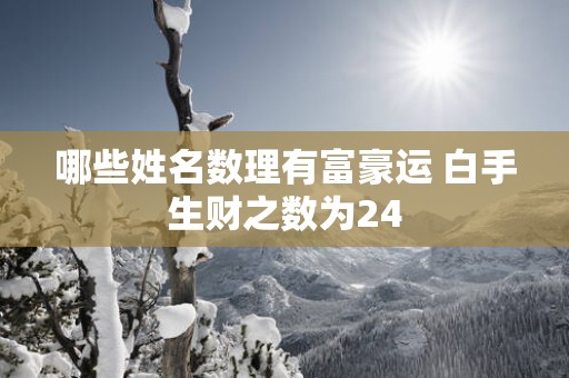 哪些姓名数理有富豪运 白手生财之数为24