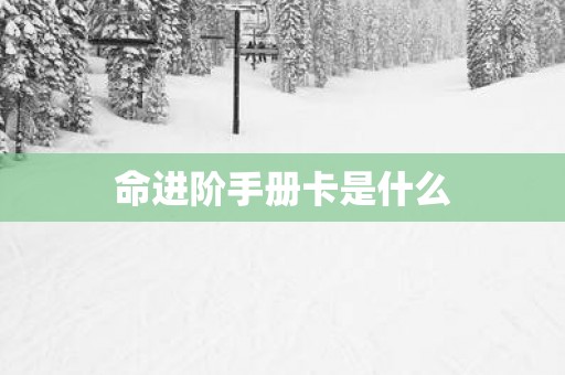 命进阶手册卡是什么