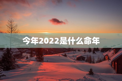 今年2025是什么命年