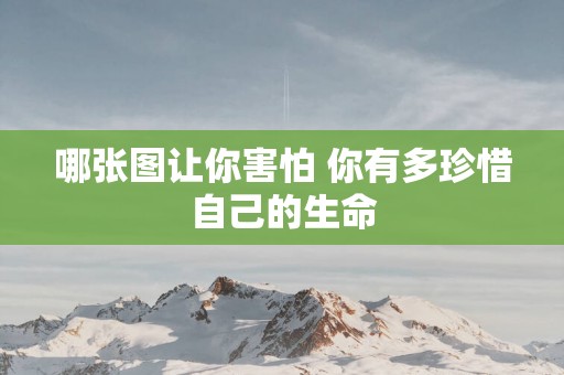 哪张图让你害怕 你有多珍惜自己的生命