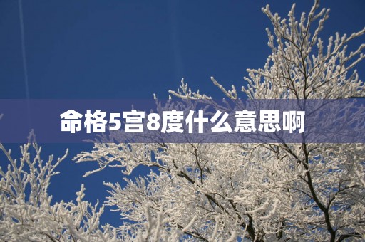 命格5宫8度什么意思啊