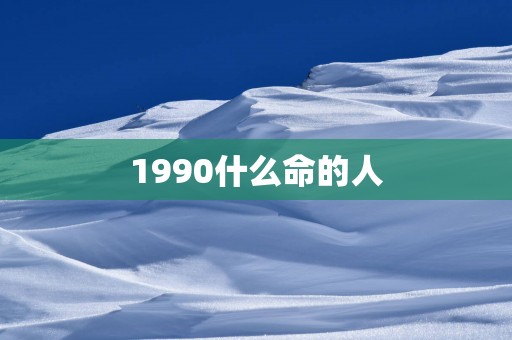 1990什么命的人