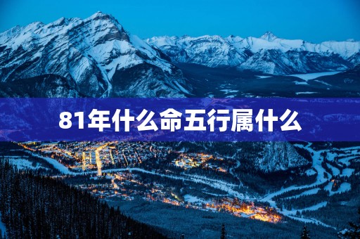81年什么命五行属什么