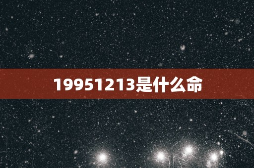 19951213是什么命