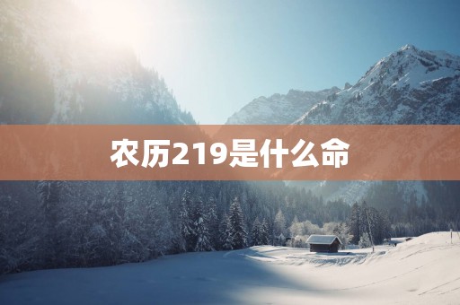 农历219是什么命