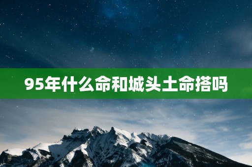 95年什么命和城头土命搭吗