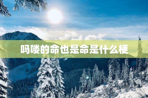 吗喽的命也是命是什么梗