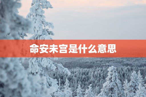 命安未宫是什么意思