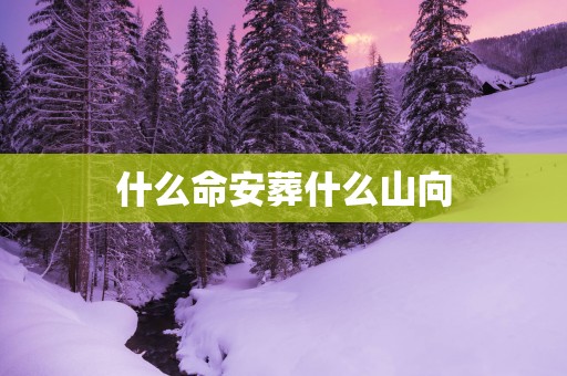 什么命安葬什么山向