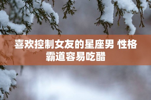 喜欢控制女友的星座男 性格霸道容易吃醋