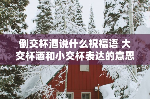 倒交杯酒说什么祝福语 大交杯酒和小交杯表达的意思