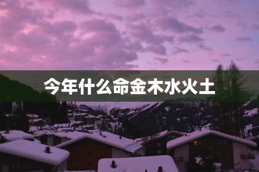 今年什么命金木水火土