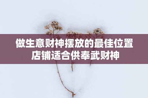 做生意财神摆放的最佳位置 店铺适合供奉武财神
