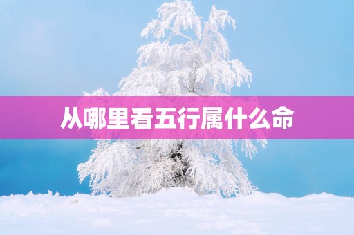 从哪里看五行属什么命
