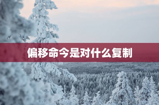 偏移命今是对什么复制