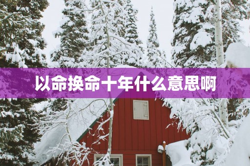 以命换命十年什么意思啊