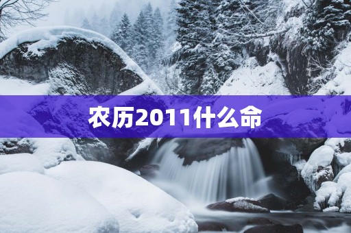 农历2011什么命