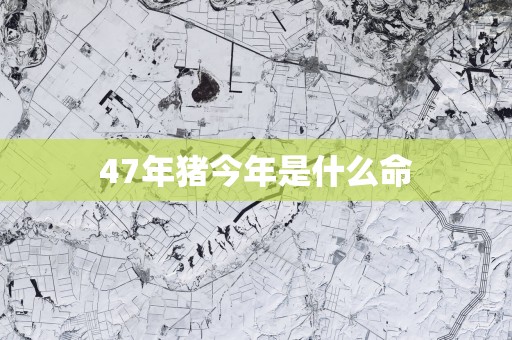 47年猪今年是什么命
