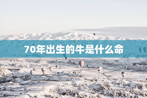 70年出生的牛是什么命