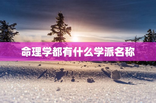 命理学都有什么学派名称