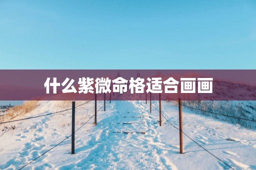 什么紫微命格适合画画