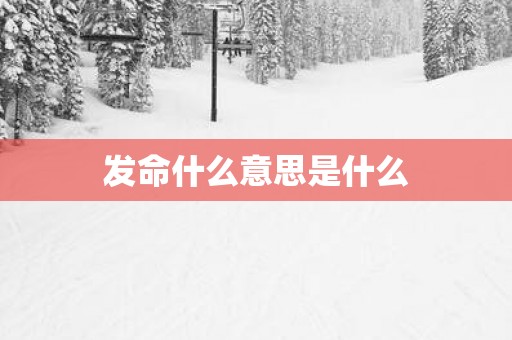 发命什么意思是什么