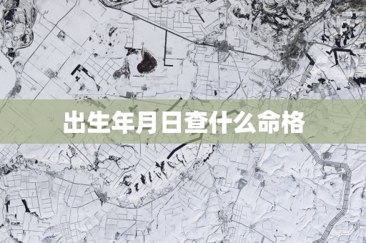 出生年月日查什么命格