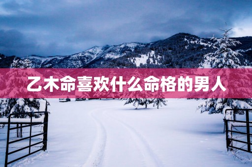 乙木命喜欢什么命格的男人
