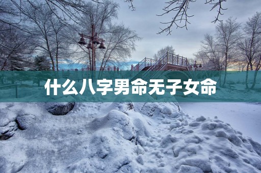 什么八字男命无子女命