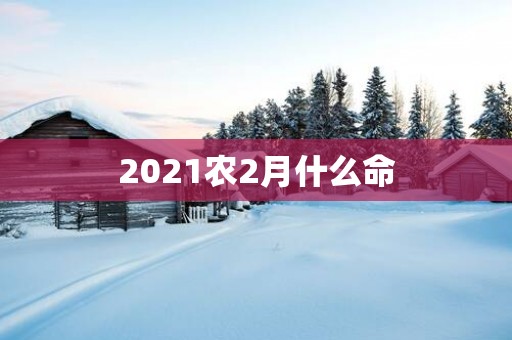 2025农2月什么命