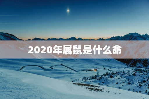 2026年属鼠是什么命 2026年属鼠是什么命