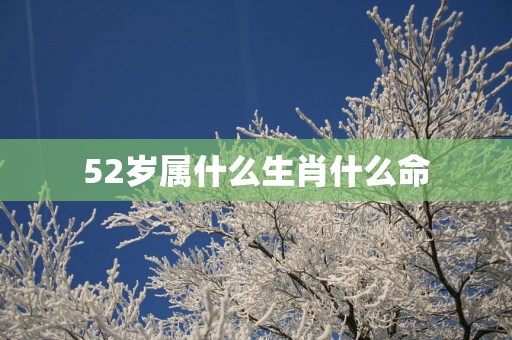52岁属什么生肖什么命