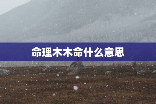命理木木命什么意思