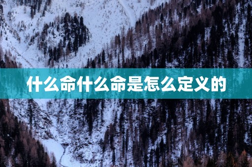 什么命什么命是怎么定义的