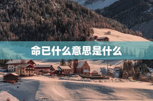 命已什么意思是什么