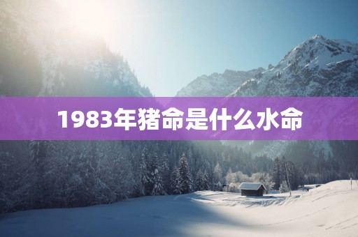 1983年猪命是什么水命