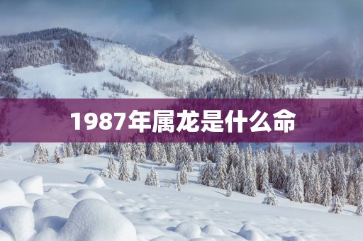 1987年属龙是什么命