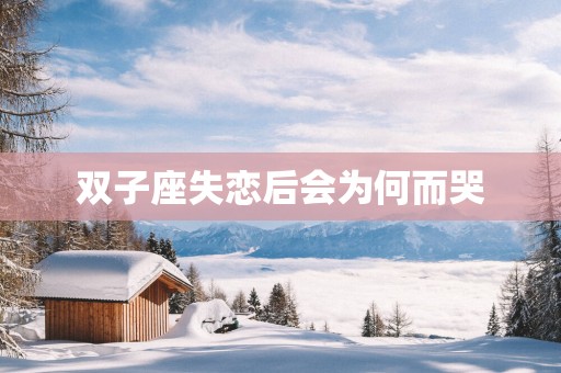 双子座失恋后会为何而哭
