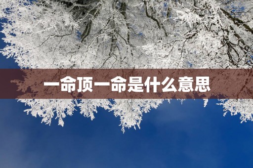 一命顶一命是什么意思